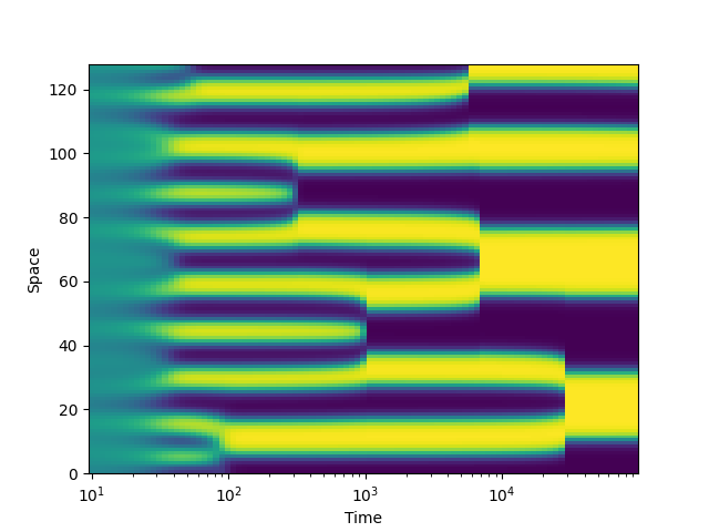 logarithmic kymograph
