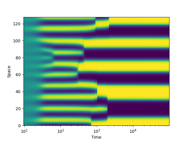 logarithmic kymograph