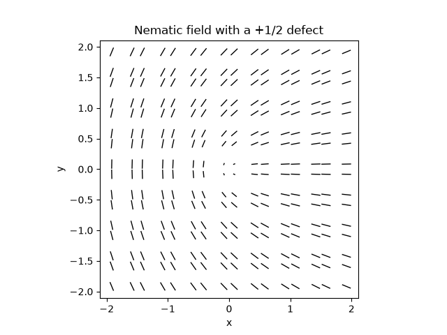 Nematic field with a $+1/2$ defect